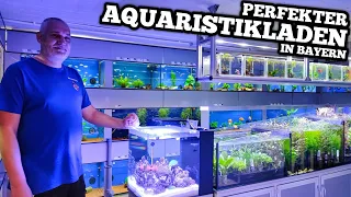 KOMPETENTE BERATUNG & TOP FISCHE | Grübers Aquaristik Keller