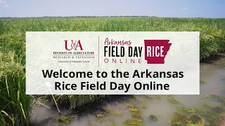 Rice Field Day Online - Welcome!