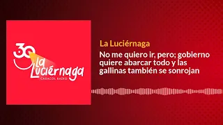 No me quiero ir, pero; gobierno quiere abarcar todo y las gallinas también se sonrojan