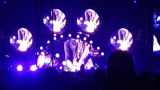 Red Hot Chili Peppers - Scar Tissue Lollapalooza Chicago 2016