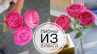 Paper peony / Пион из бумаги / ПРОСТО И КРАСИВО / DIY TSVORIC