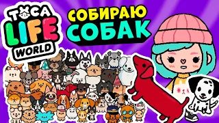 СОБИРАЮ ВСЕХ СОБАК в Тока Бока 🐕 ► Toca Life world