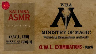 [ASMR] 마법 시험 관리국입니다. O.W.L 준비하셔야죠? 🌙 | 50/10 뽀모도로, 공부할 때 듣는 ASMR, Dear.sol Fantasy
