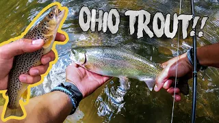 Ohio Trout Fishing! (Clear fork, Mohican)