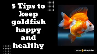 5 Tips to keep goldfish Happy and Healthy | Must watch!