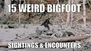 15 TRUE Completely Weird Bigfoot Encounters/Sightings