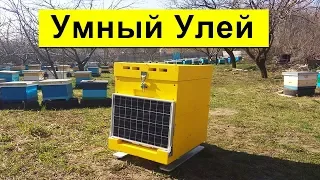 Умный Улей ✅ Amohive