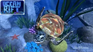 OCEAN RIFT - Sea Turtles / Blue Sharks / Sea Snakes /// -VR- EXPERIENCE ///