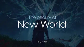 The Beauty Of New World
