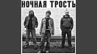 Ночная трость