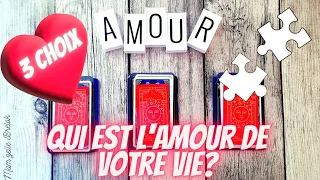 QUI EST L'AMOUR DE VOTRE VIE ? ❤ GUIDANCE SENTIMENTALE INTEMPORELLE 🤍 3 CHOIX ❤️