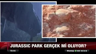 Jurassıc Park gerçek mi oluyor? - 5 Ocak 2018