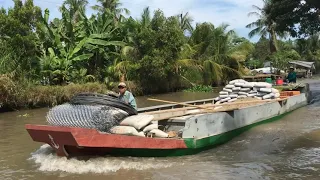 Vietnam River Boats - Life on the River Mekong Delta