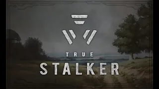 True stalker - самый лучший мод на сталкер зов припяти #stalker #callofpripyat #truestalker