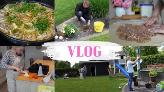 VLOG🇩🇪: готовлю обед 🥘 сажаем цветы 🌺 купили сушилку 👍🏻