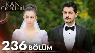 Kan Çiçekleri 236. Bölüm