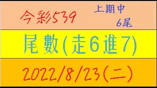 今彩539 『尾數(走6進7)』上期中6尾【2022年8月23日(二)】肉包先生