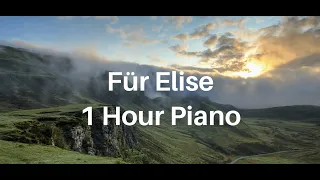 Für Elise - Ludwig van Beethoven (1 Hour Flute and Piano, Classical Music, Love, Romantic, Melodic)