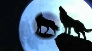 the wolf song