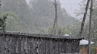 8.05.2024г. К нам пришла зима! Готовим и болтаем