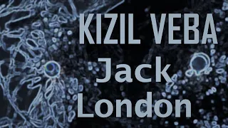 "KIZIL VEBA" JACK LONDON sesli kitap tek parça Akın ALTAN