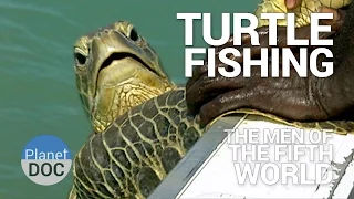 Turtle Fishing. The Men of Fifth World | Tribes - Planet Doc Full Documentaries