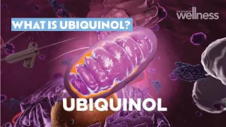 What is ubiquinol?