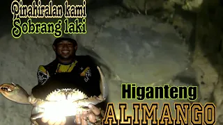 Grabe Higanteng Alimango Pinahirapan kami sa laghuli | Night hunting Big Crab | Hunting