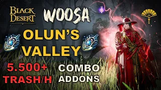 BDO | Olun's Valley Dehkia is Tooo Easy With Woosa Succession | Combo & Addons  Lv.2 5.500 Trash/H |