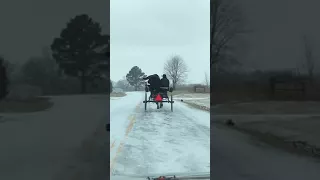 Amish drifting horse n buggy