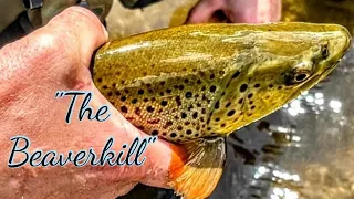 Catskills Fly Fishing "The Beaver kill" (Part 1)