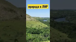 Природа в Луганской области ЛНР Большой Суходол #shorts