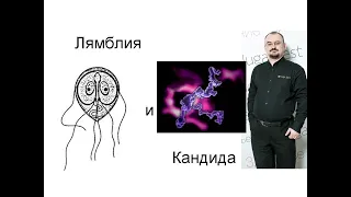 Лямблия и кандида.