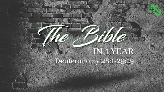 The Bible in 1 Year - EP 79 - Deuteronomy 28:1-29:29
