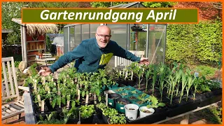 Gartenrundgang April - Jungpflanzen - Tomaten - Hochbeete - Insekten - Kräuterbeet - Staudenbeet