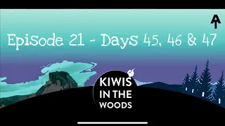 AT FlipFlop Thru Hike 2022 - Episode 21 - Days 45, 46 & 47