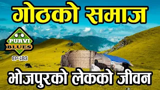 हिमालको काखमा गोठको जीवन || चौरी र भेडा गोठको समाज || Yak Sheds in Maiyung Hill Bhojpur Khotang