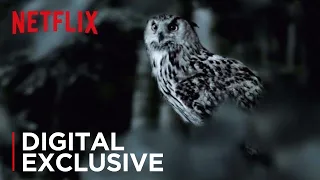 The Staircase | The Owl Theory | Netflix