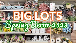 BIG LOTS SPRING DECOR 2023 SHOP WITH ME