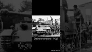 #Maus в реальному житті #tank #wotblitz #worldoftanksblitz