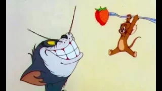 Tom And Jerry English Episodes - The Million Dollar Cat - Cartoons For Kids