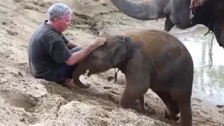 Playing with a Baby Elephant