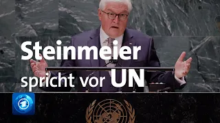 Bundespräsident Steinmeier spricht vor den Vereinten Nationen