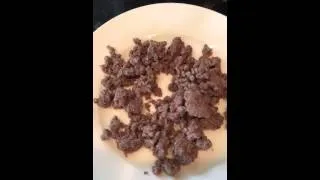 Rehydrated hamburger