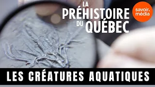 Les créatures aquatiques -  La préhistoire du Québec