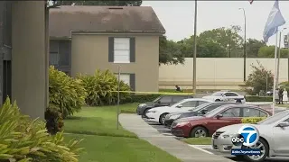 Toddler fatally shoots mother during work-related Zoom call, Florida police say | ABC7