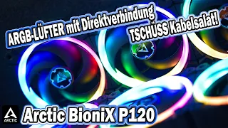 RGB-Lüfter ohne Kabelsalat - Arctic BioniX P120 A-RGB-Lüfter Test - Gut für Radiator und Gehäuse