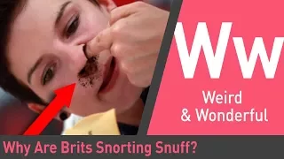 What is snuff and why are British Politicians snorting it? | How Do They Do It