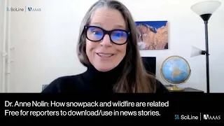 How are wildfire and snowfall related?
