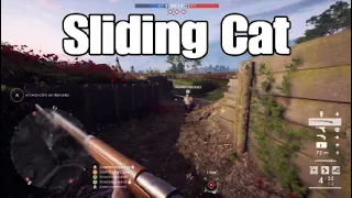 A Sliding Cat Battlefield 1